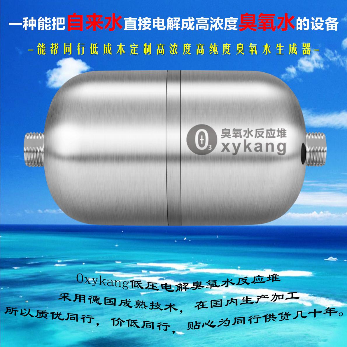 管道式臭氧水生成器CYSXA_01.jpg